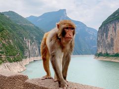 -白帝城·瞿塘峡景区