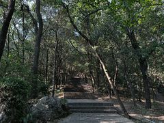 -紫金山山顶公园