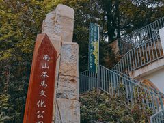 -南山植物园