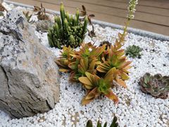 -静颐茶馆·素食(龙华店)