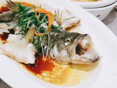 -朱记乳鸽王·非遗石岐乳鸽·全鸽宴(大兴旗舰店)