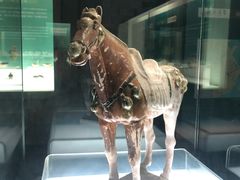 -衢州市博物馆