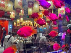 -朱光玉火锅馆(正弘城店)