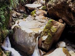-鹿院坪生态旅游景区