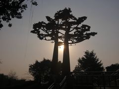 -广州雕塑公园