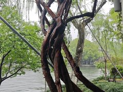-西湖天地