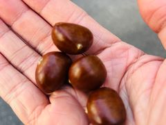 -鑫鑫栗王(吉祥商城店)