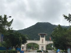 -大雁山风景区