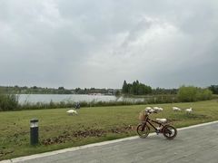 -白鹭湾湿地公园