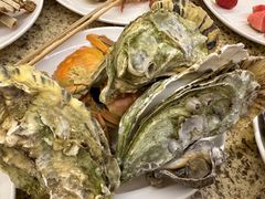 -禾斗海鲜自助(市南银座店)