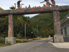 -望天鹅景区