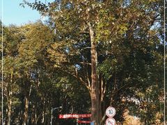 -陕西理工大学(北校区)