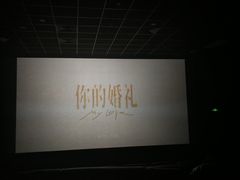 -金逸影城(宝安大仟里IMAX激光店)