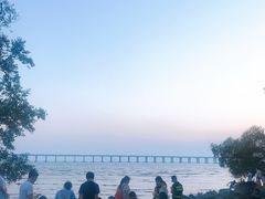 -宝安西湾红树林湿地公园