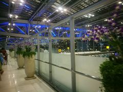 -曼谷素万那普国际机场