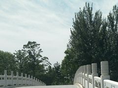 -大兴滨河森林公园