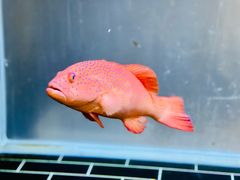 -温鼎府·海鲜火锅(前门23号院店)