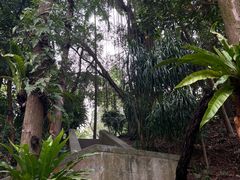 -深圳仙湖植物园