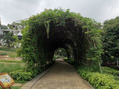 -天河儿童公园