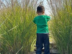 -汉长安城未央宫国家考古遗址公园