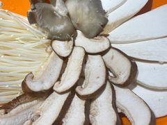 -城南老友羊蝎子火锅(花乡奥莱店)