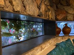 -大理老字号·舟渔的鱼野生菌海景餐厅(双廊店)