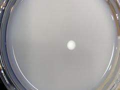 -老乡鸡(舒城路店)