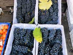 -昆明东站水果交易市场