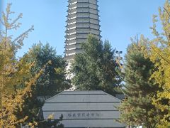 -舍利塔滩地公园-无垢净光舍利塔