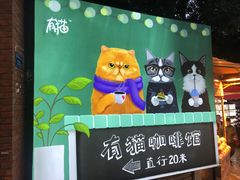 -有猫主题·治愈系猫咖(曾厝垵店)
