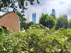 -人民公园(罗湖区)