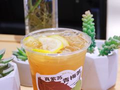 -炖物24章·顺时轻养茶(黄龙店)