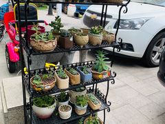 -屯屯面(海尔路店)