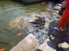 -王家大院