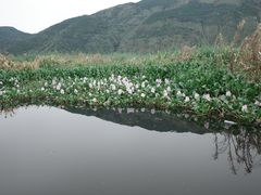 -大理洱源西湖景区