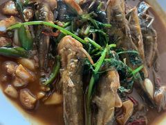 红烧昂刺鱼-杨辉饭店