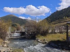 -86烧烤·炭火烧烤 (石人总店)