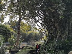 -晓港公园