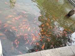 -红螺寺