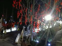 -楠柏弯休闲山庄(梨花溪店)