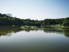 -南京市无想山景区