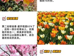 -国家植物园