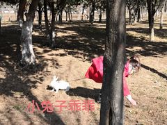-洨河生态公园