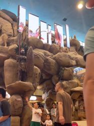 -卡通尼·Safari非洲探索乐园·生日会(金桥国际商业广场店)