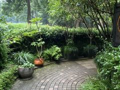 -野蔓果·山野菜(西湖景区·龙井茶田店)