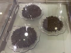 -三江源牌冬虫夏草(中山北路店)