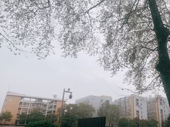 -华中农业大学-荟园餐厅