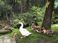 -硗碛藏寨·神木垒景区