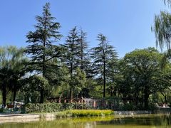 -西安市长乐公园