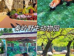 -西安秦岭野生动物园